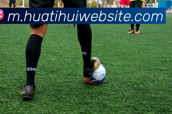 多媒体互动体验